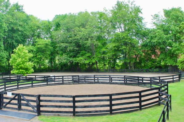 The round pen and arena for lameness exams featuring consistent good footing