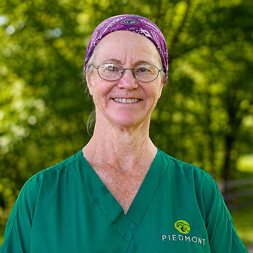 Gretchen Hummer