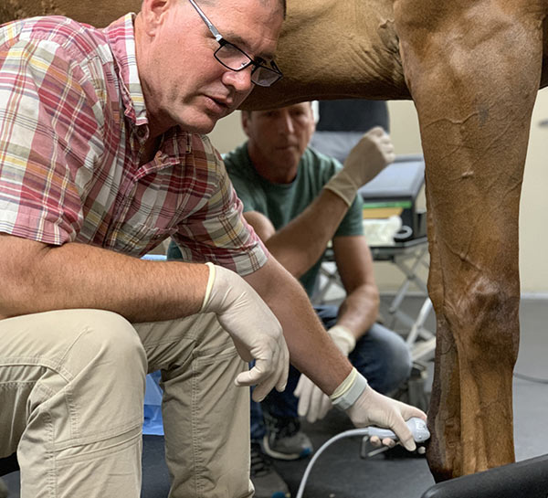 home-services-diagnostics-pic