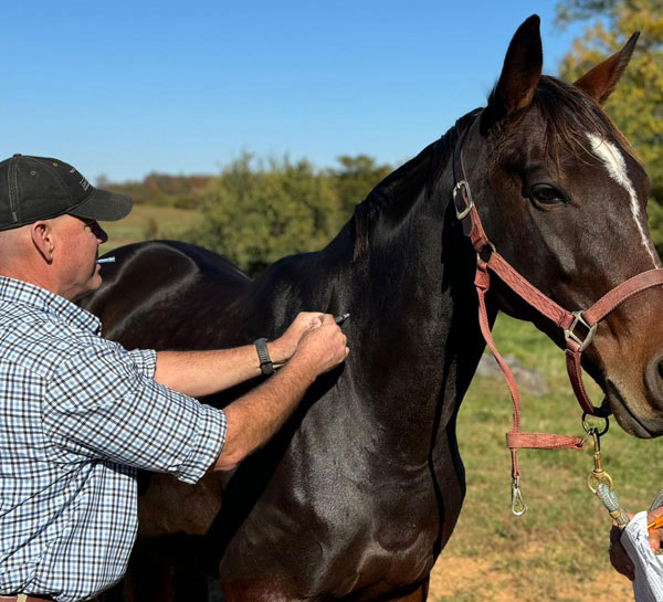 home-services-herd-health-pic2